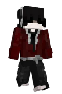 CCMDADA Minecraft avatar full body
