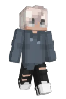 CCTop10 Minecraft avatar full body