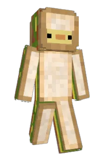 CCWT1 Minecraft avatar full body