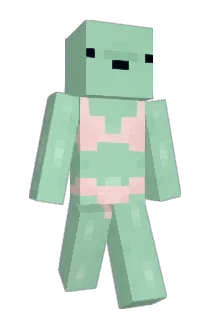CC_Cille Minecraft avatar full body