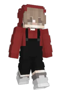 CDOG5387 Minecraft avatar full body