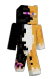 CDR05warrior Minecraft avatar full body