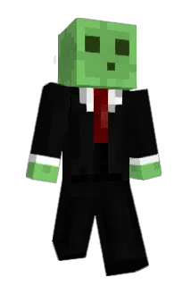 CECG Minecraft avatar full body