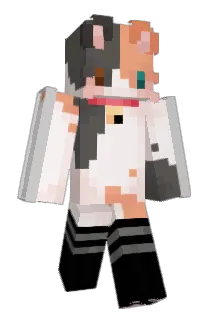 CEO_Fabi Minecraft avatar full body
