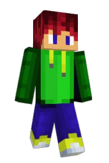 CFH878 Minecraft avatar full body