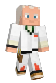 CG1108 Minecraft avatar full body