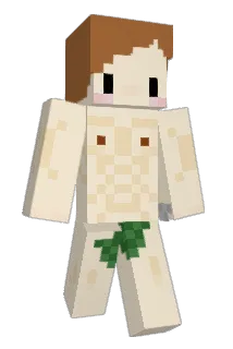 CGH577 Minecraft avatar full body