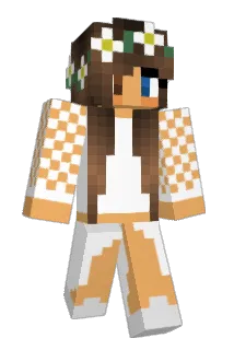 CGT840 Minecraft avatar full body