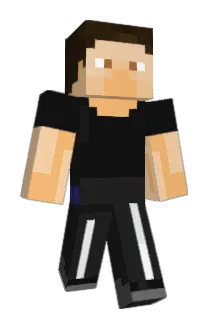 CHAPTER8 Minecraft avatar full body