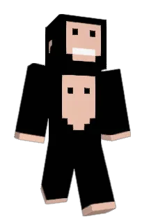 CHINPANGG Minecraft avatar full body