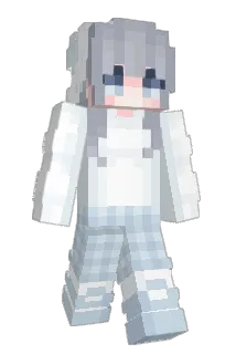 CHOW11 Minecraft avatar full body
