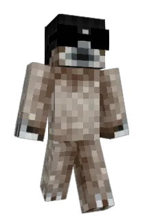 CJMHD Minecraft avatar full body