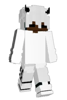 CLE4NED Minecraft avatar full body