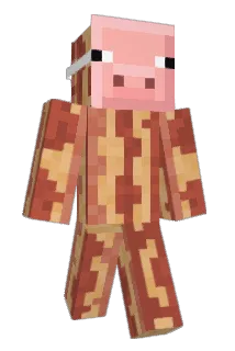 CME_H66 Minecraft avatar full body