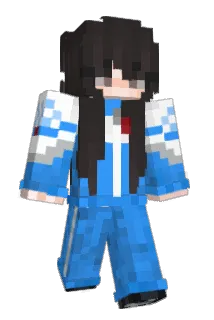 CN6H Minecraft avatar full body