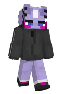 CNLFN Minecraft avatar full body