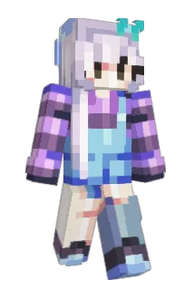 CNL_2020 Minecraft avatar full body