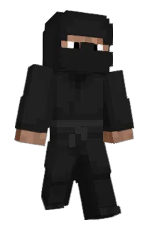CNNNinja8 Minecraft avatar full body