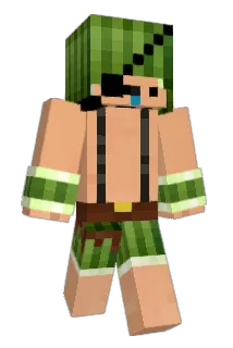 CNYS Minecraft avatar full body