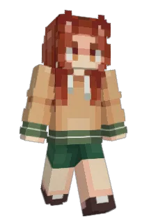 CN_China Minecraft avatar full body