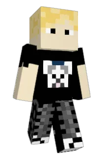 COIN12345676 Minecraft avatar full body