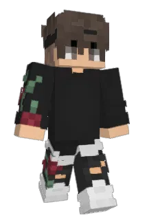 COKI1 Minecraft avatar full body
