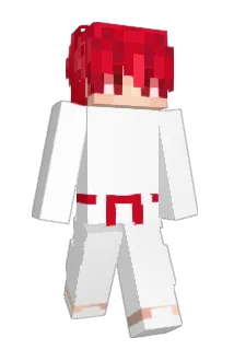 COLEEE14 Minecraft avatar full body