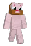 COLEGESIN Minecraft avatar full body