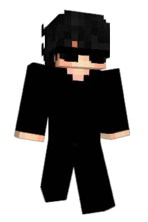 CONCIDE Minecraft avatar full body
