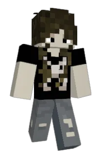 CONTROLIFN Minecraft avatar full body