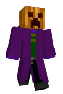 COOPS7754 Minecraft avatar full body
