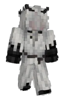 COSACHI Minecraft avatar full body
