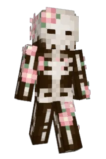 CRAZY_CAT_LADY12 Minecraft avatar full body