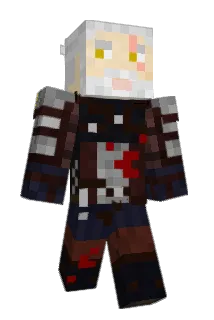 CRJ1001 Minecraft avatar full body