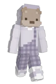 CSIgamer Minecraft avatar full body