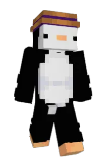 CSWBUG Minecraft avatar full body