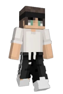 CSlog Minecraft avatar full body