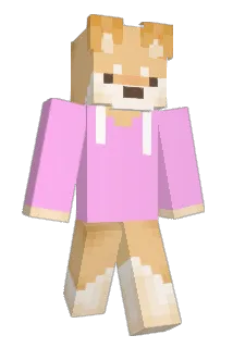 CT5081 Minecraft avatar full body