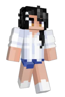 CT75yt Minecraft avatar full body