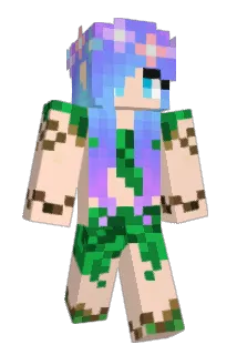 CTDM512 Minecraft avatar full body