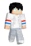 CTDSR Minecraft avatar full body