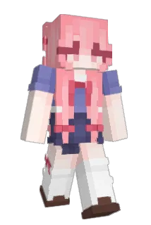 CT_6785 Minecraft avatar full body