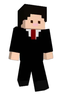 CYBS1115 Minecraft avatar full body