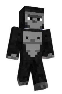 CYGN10 Minecraft avatar full body
