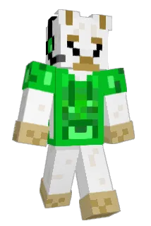 CYLPLLamas Minecraft avatar full body
