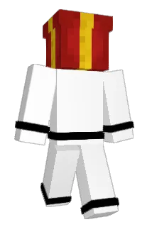 CYTXN Minecraft avatar full body