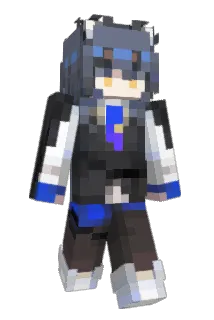 C__Texas Minecraft avatar full body