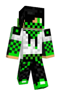 C_goose Minecraft avatar full body