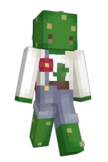 C_haeSo Minecraft avatar full body