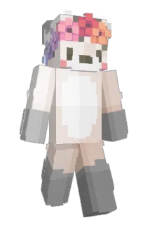 C_o_okie Minecraft avatar full body